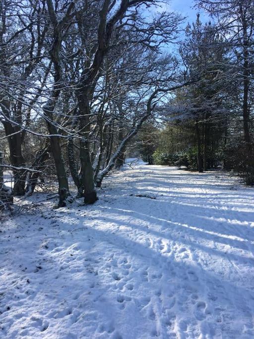 Kings Cottage, Nairn - A Charming Place To Stay Экстерьер фото
